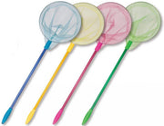 Retino colorato piccola