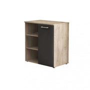 1-door cabinet with 3 shelves, light oak and anthracite
