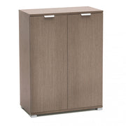 2-door grey oak cabinet