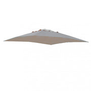 Telo pegaso taupe 3 x 4 p/l