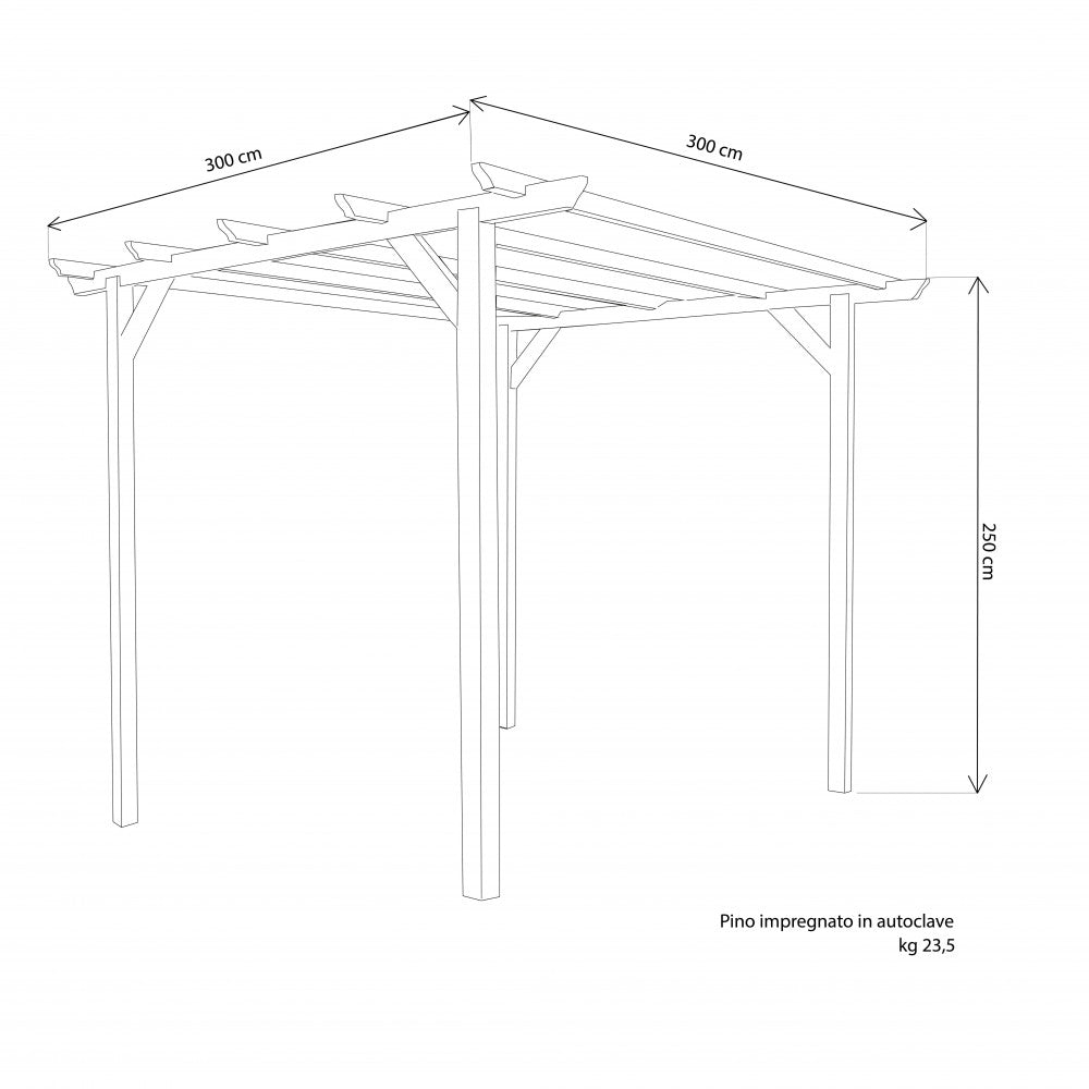 Pergola 300 x 300
