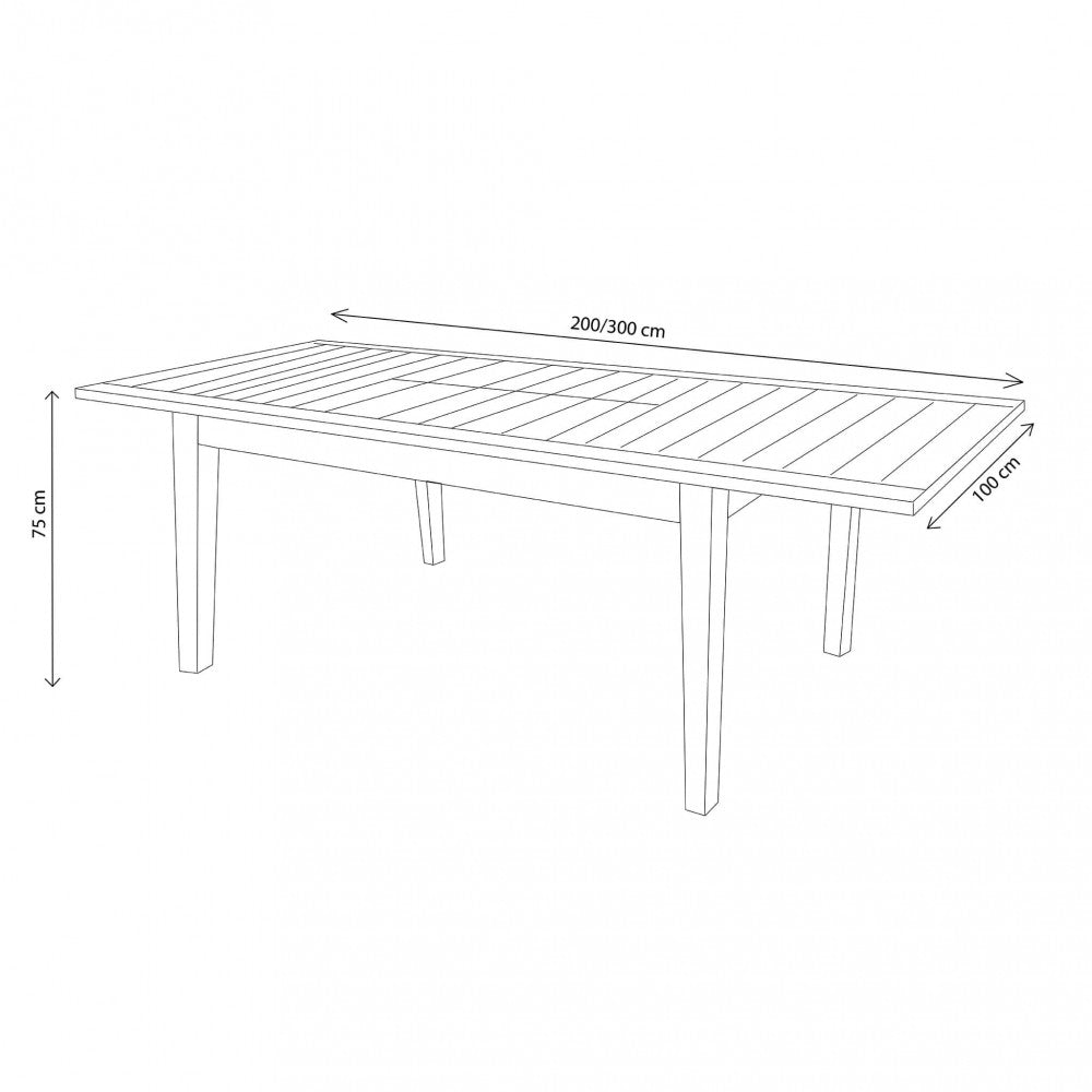 Tavolo ribot 200/300 x 100