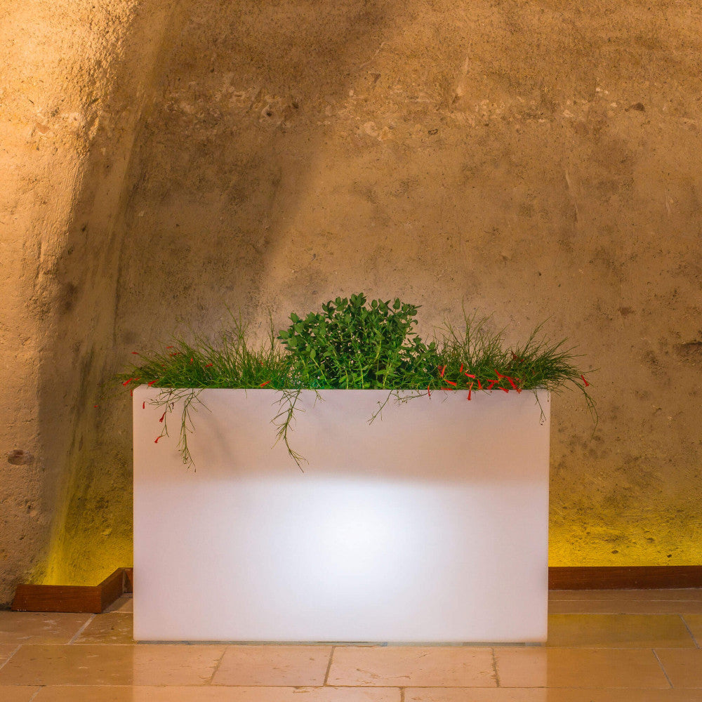 Fioriera sculptor  50 h