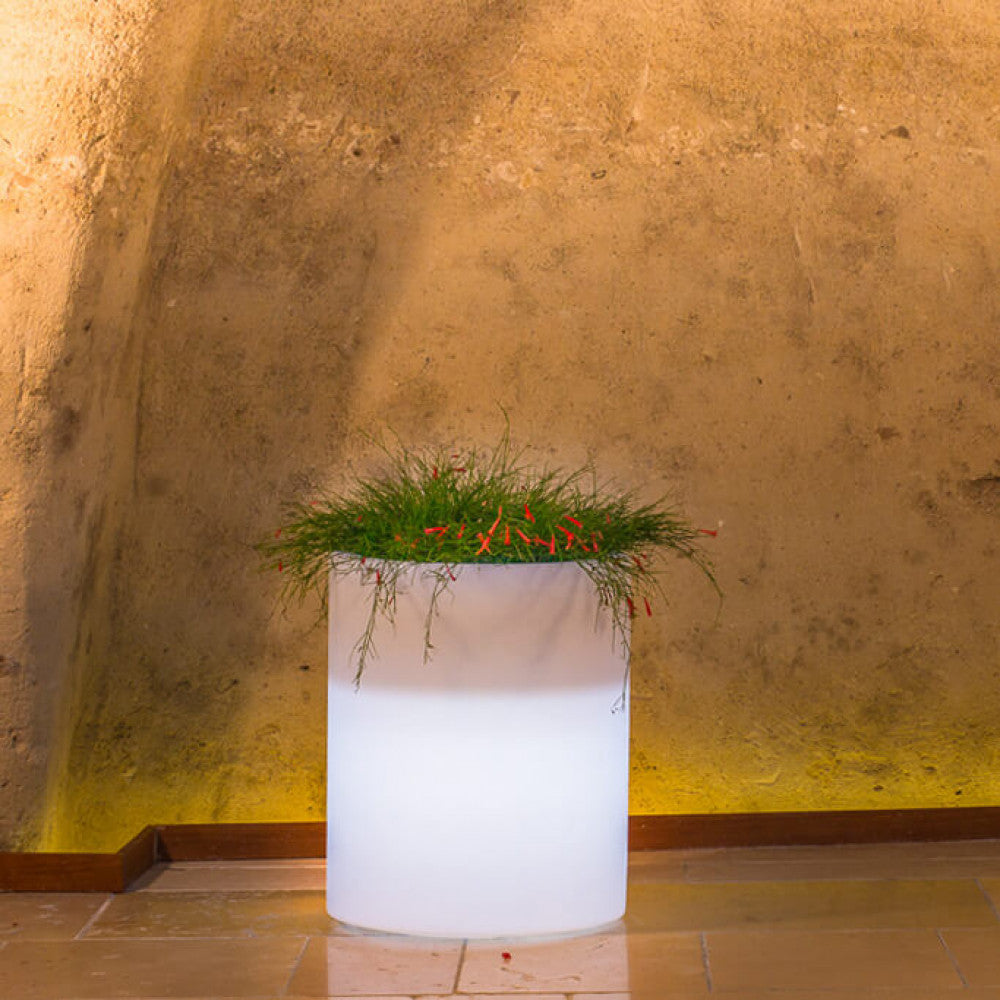 Vaso luminoso delphinus 50 h