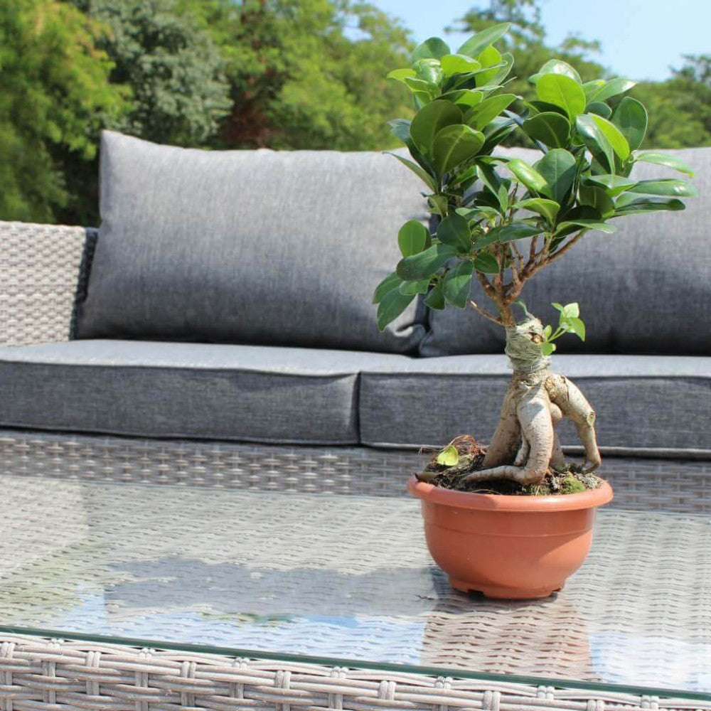 Salotto cile 2 p c/cuscini