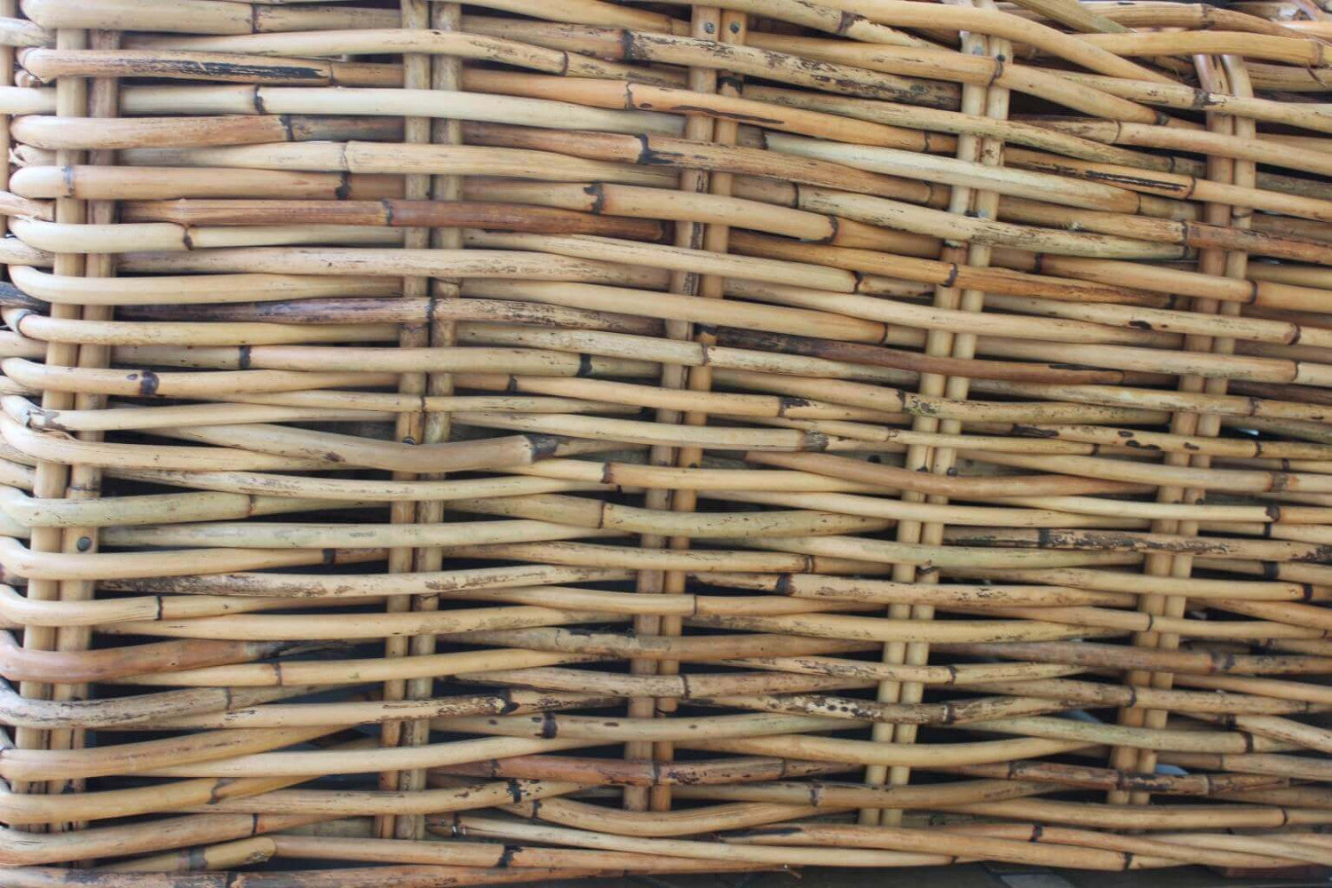 Divano polinesia 3 p c/cuscini